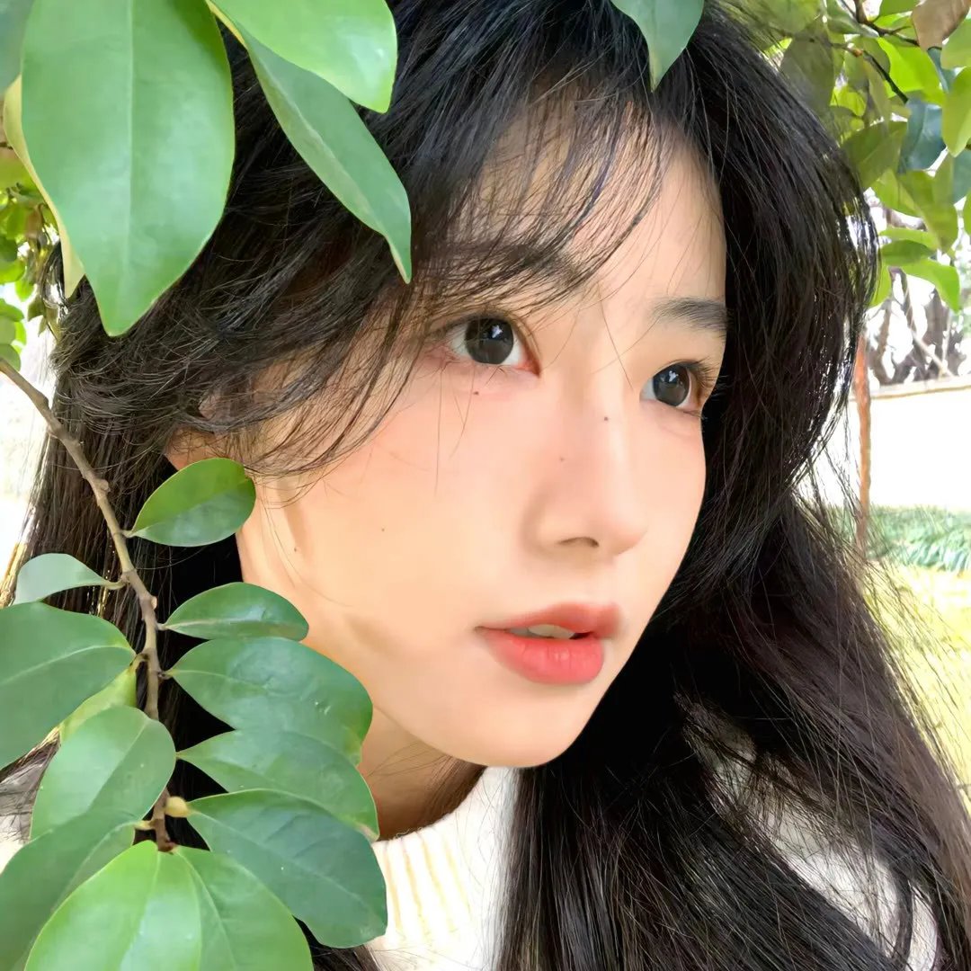 石斛兰